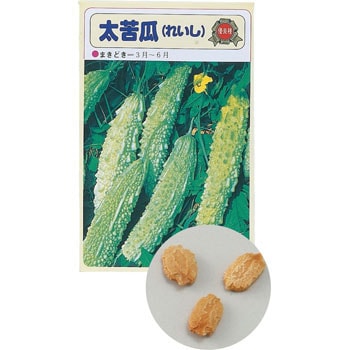 【タネ】野菜の種 苗床付 アーテック(学校教材・教育玩具)