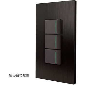 スイッチ・コンセントプレート クールメタル LAMP(スガツネ)