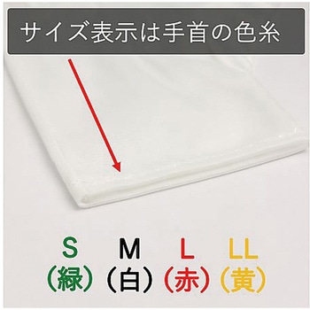 ナイロン手袋 - ウインセス