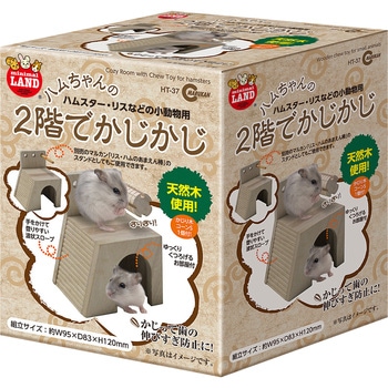 2階でかじかじ minimal LAND