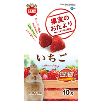 果実のおたより いちご minimal LAND