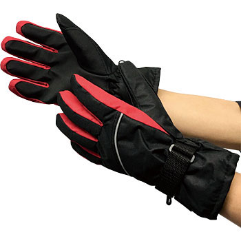 #2597 �h���h����� �O���[�u�}�j�A(�쐼�H��) 20068396