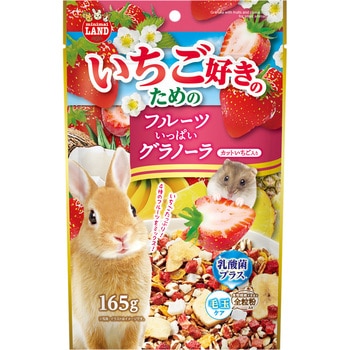 いちご好きのためのフルーツいっぱいグラノーラ minimal LAND