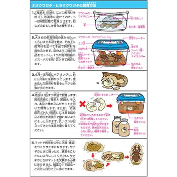 くぬぎ昆虫マット INSECT LAND