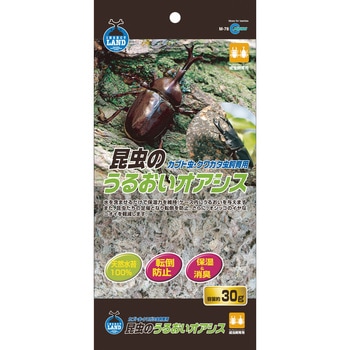 昆虫のうるおいオアシス INSECT LAND