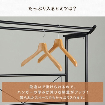 押入れダブルハンガー 伸縮タイプ 伸晃
