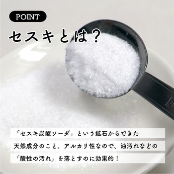 セスキの激落ちくんシートキッチン用 LEC(レック)