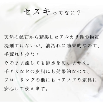 セスキの 激落ちくんシート フローリング用 LEC(レック)