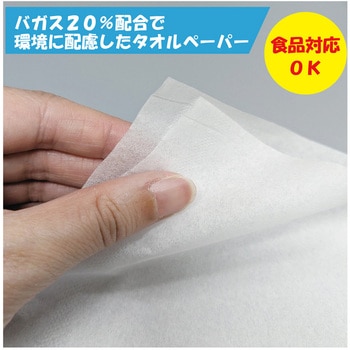 ソフトタオルペーパー300W 服部