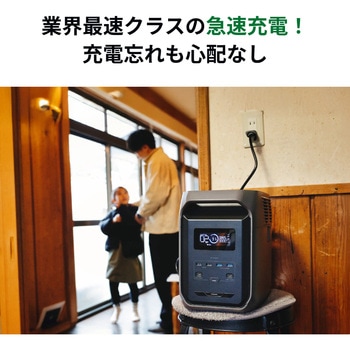 DELTA 3 1500 ポータブル電源 1，536Wh EcoFlow(エコフロー)