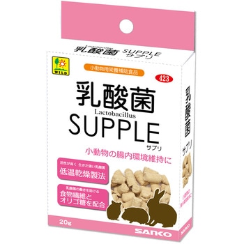 乳酸菌 WILD