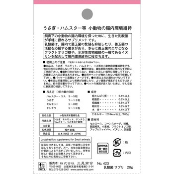 乳酸菌 WILD