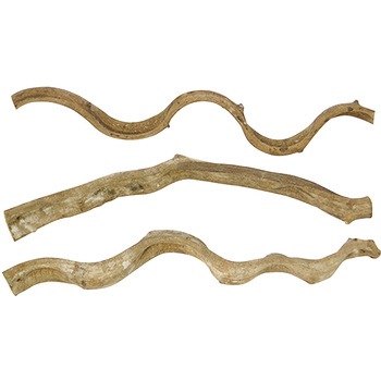 スパイラル パーチ L45 - WILD