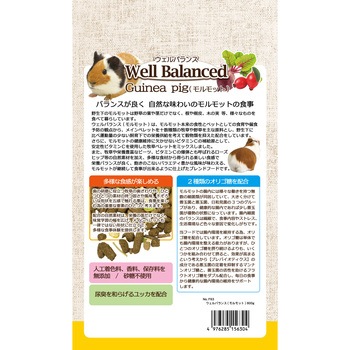 ウェルバランス モルモットフード WILD