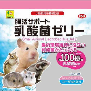 腸活サポート 乳酸菌ゼリー WILD