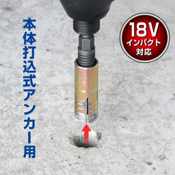アンカー抜きビット 6.35mm六角軸 ANEX