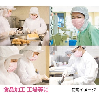 美保Bihou 業務用マスク 日本製 2層タイプ 100枚入 プリーツ型 エスパック