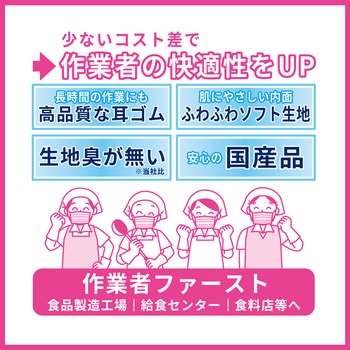 美保Bihou 業務用マスク 日本製 2層タイプ 100枚入 プリーツ型 エスパック
