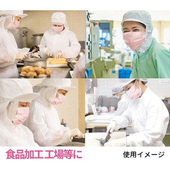 美保Bihou 業務用マスク 日本製 2層タイプ 100枚入 プリーツ型 エスパック