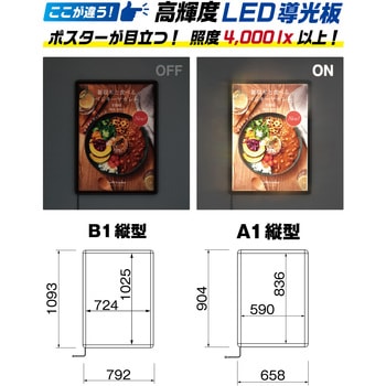 PGライトPROパックシート シンエイ
