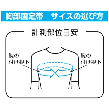 アドールE 竹虎