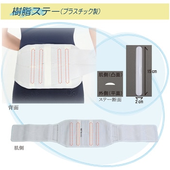 ランバック 竹虎