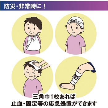 三角きん フチトリ 竹虎