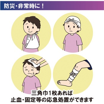 三角きん フチトリ 竹虎