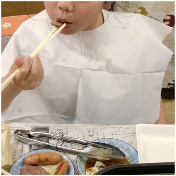 フェルラックエプロン 竹虎