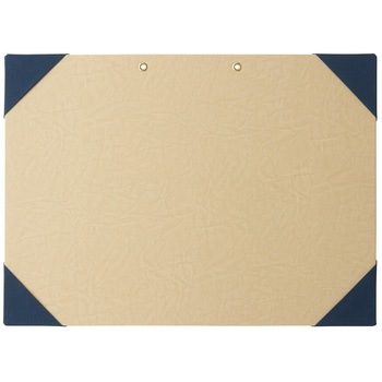 4432 �̉��\�䎆 HAKUAI(������) 20448733