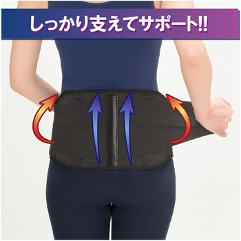 ランバック 竹虎