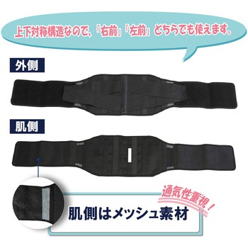 ランバック 竹虎