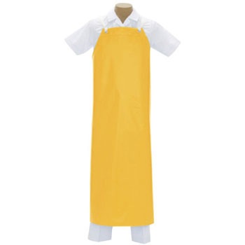 550 h\tgGv (\tgtO|) WiC 20510333