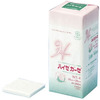 ハイゼガーゼ 12P イワツキ