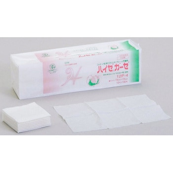 ハイゼガーゼ 12P イワツキ
