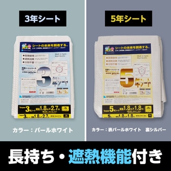 ターピー 3年シート 萩原工業