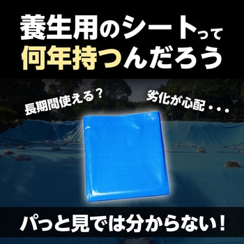 ターピー 3年シート 萩原工業