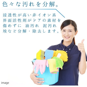 復活洗浄剤 玄関ドア用 玄関ドア用洗浄剤 カンペハピオ