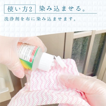 復活洗浄剤 玄関ドア用 玄関ドア用洗浄剤 カンペハピオ