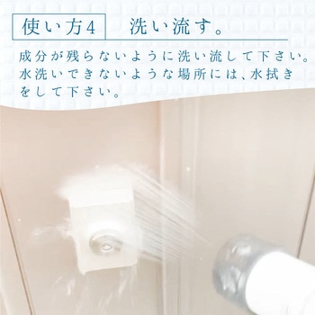 復活洗浄剤 玄関ドア用 玄関ドア用洗浄剤 カンペハピオ