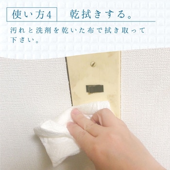 室内かべ用油汚れ・カビ取りクリーナー カンペハピオ