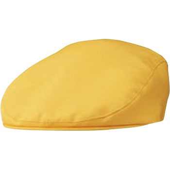 APK485-C/30 �n���`���O KAZEN 20578267