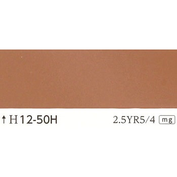 BeニューST 中彩色 菊水化学工業