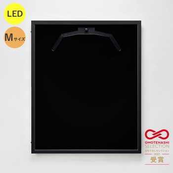 077286 LEDjtH[P[X MTCY  ʏAN O[NX 20737074