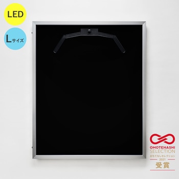 077303 LEDjtH[P[X LTCY  ʏAN O[NX 20737239