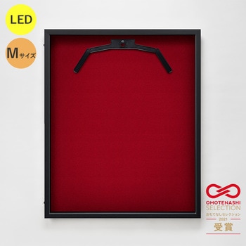 LEDユニフォームケース Mサイズ  UVアクリル グリーンクロス