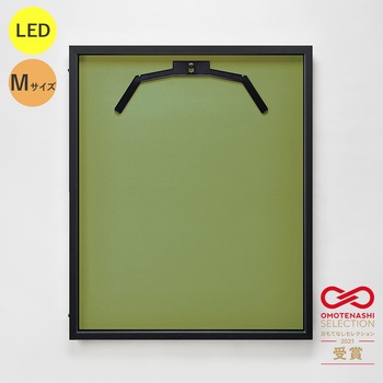 107039 LEDjtH[P[X MTCY  ʏAN O[NX 20738045