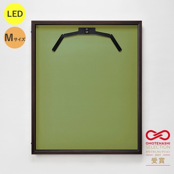 107045 LEDjtH[P[X MTCY  ʏAN O[NX 20738106