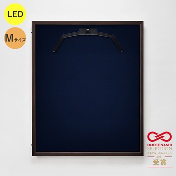 107046 LEDjtH[P[X MTCY  ʏAN O[NX 20738115
