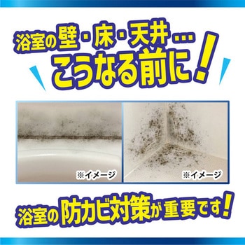 カビダッシュ 防カビ・バイオバスター カビダッシュ